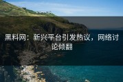 黑料网：新兴平台引发热议，网络讨论倾翻