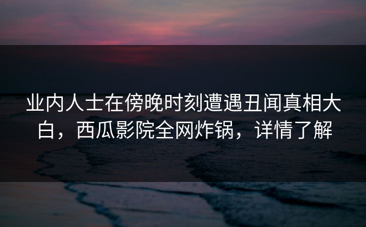 业内人士在傍晚时刻遭遇丑闻真相大白，西瓜影院全网炸锅，详情了解