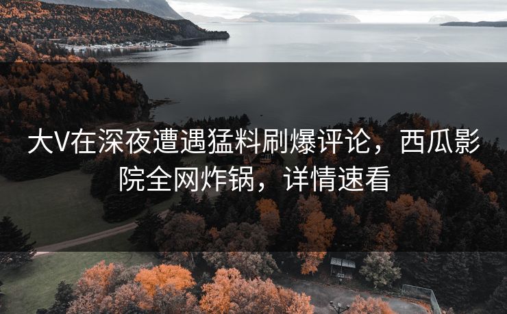 大V在深夜遭遇猛料刷爆评论，西瓜影院全网炸锅，详情速看