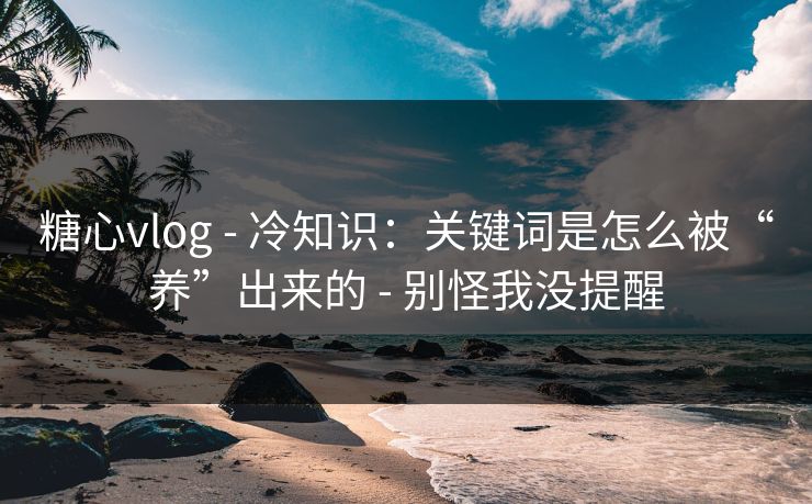 糖心vlog - 冷知识：关键词是怎么被“养”出来的 - 别怪我没提醒