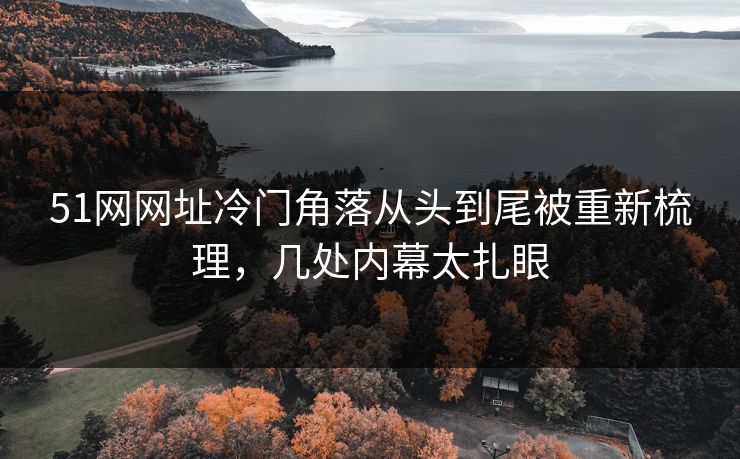 51网网址冷门角落从头到尾被重新梳理，几处内幕太扎眼